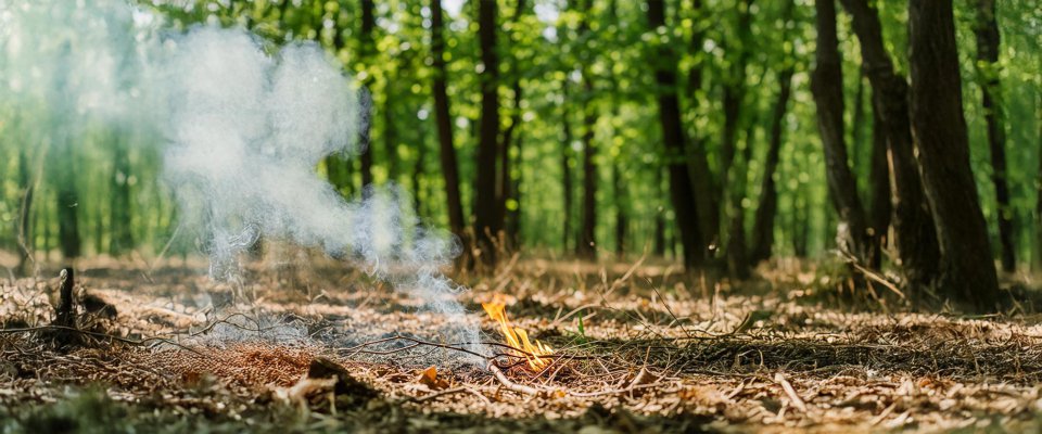 Prévention du risque d'incendie de forêt et de végétaux