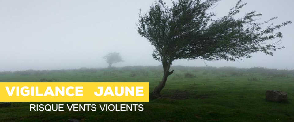 ALERTE METEO : Vents - Vigilance jaune