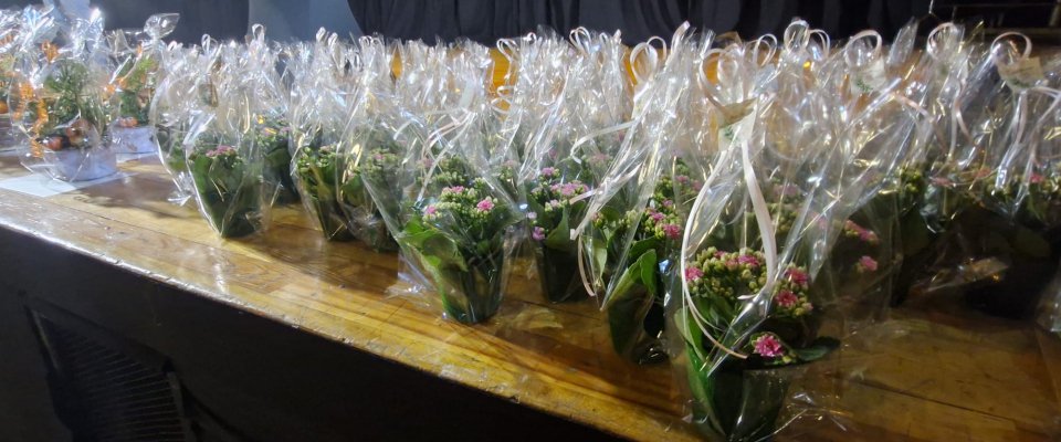 Des fleurs sur les balcons, dans les jardins, devant les vitrines ... des fleurs, des fleurs, des fleurs !