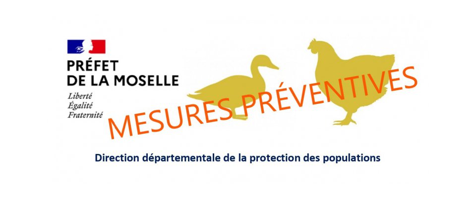 Oiseaux : Vigilance sanitaire
