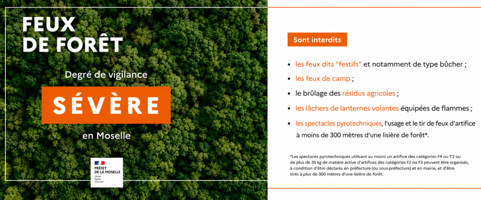 Sécheresse : passage en alerte renforcée et vigilance sévère feux de forêt en Moselle