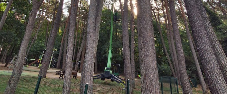 La Ville au chevet de ses arbres