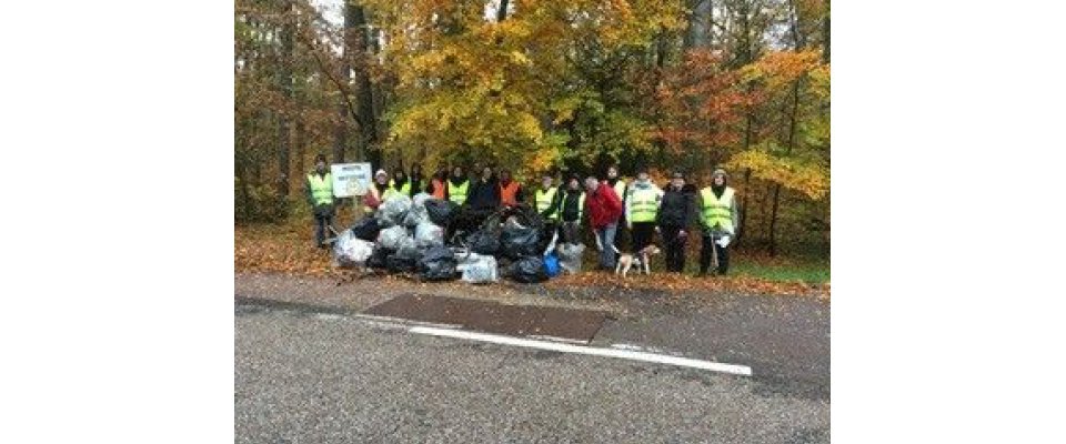 Des bénévoles à la chasse aux déchets pour nettoyer la forêt