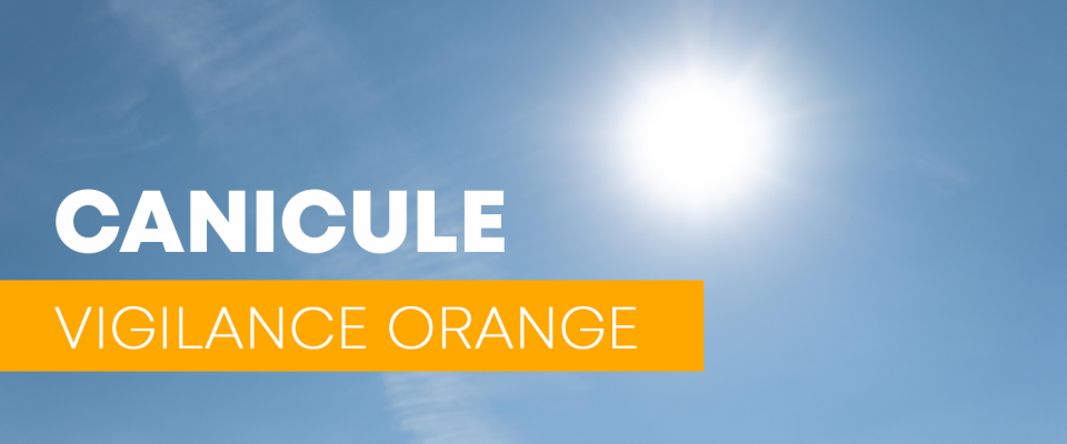 Vigilance orange canicule