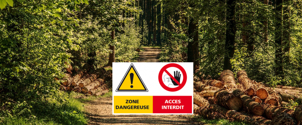 Attention ! Risque de chutes d’arbres