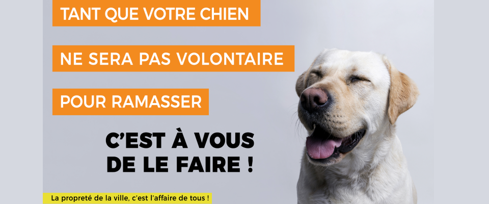 Stop aux déjections canines !