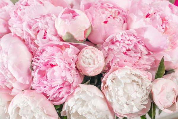 Célébrons les Mamans