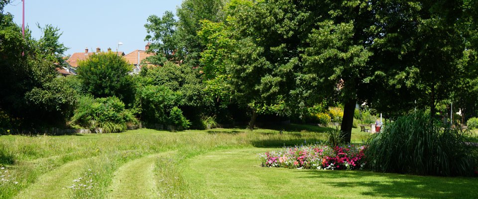 Fleurissement de l'été 2023 en cours