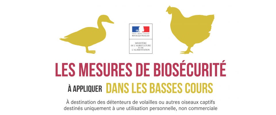 Mesures de protection vis-à-vis de l'influenza aviaire