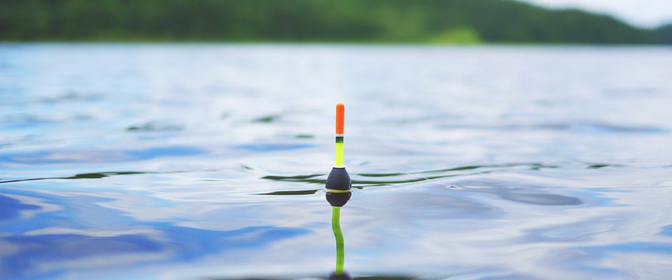 Les meilleurs pêcheurs du Grand-Est réunis pour le championnat régional au Plan d’eau