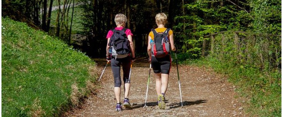 216 Promeneurs ont pris le départ de « Toute la Ville marche »