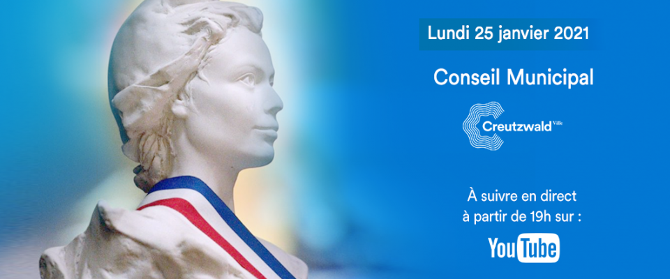Conseil municipal en ligne