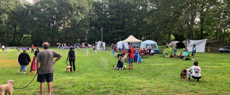 Concours d'agility et de jumping au club canin