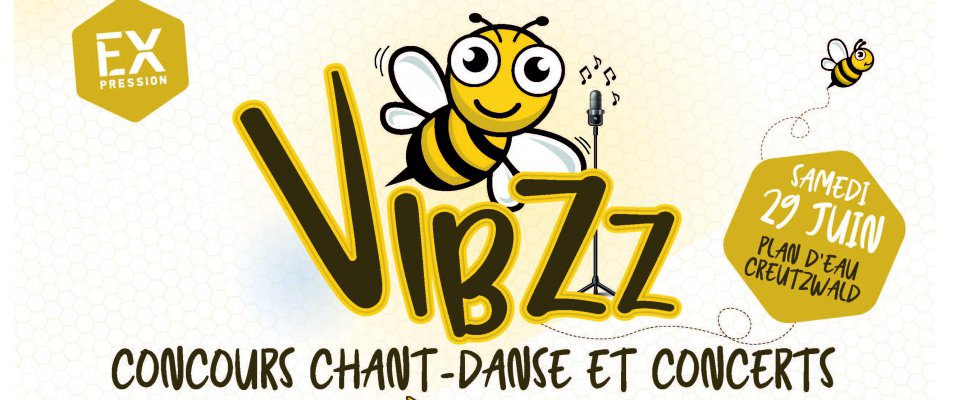 Festival VIBZZ