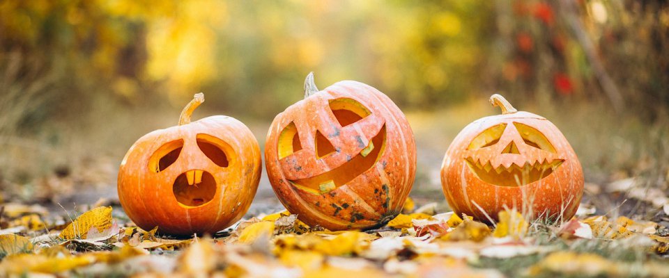 Accueils de loisirs - Vacances de la Toussaint 2025