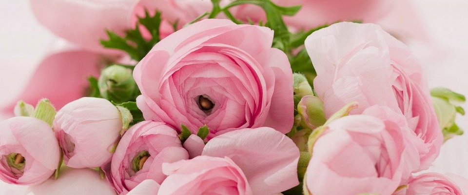 Fête des Mères & Pères