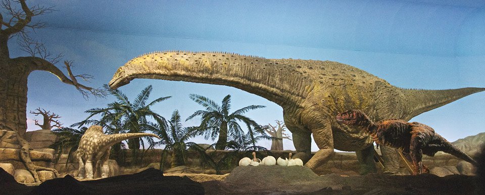 ASBH : Sortie musée Gondwana