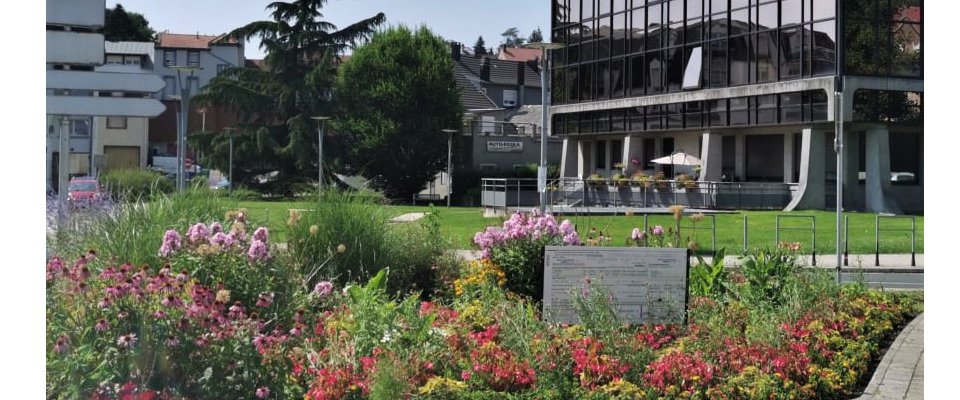 Balade découverte: Les ronds points fleuris