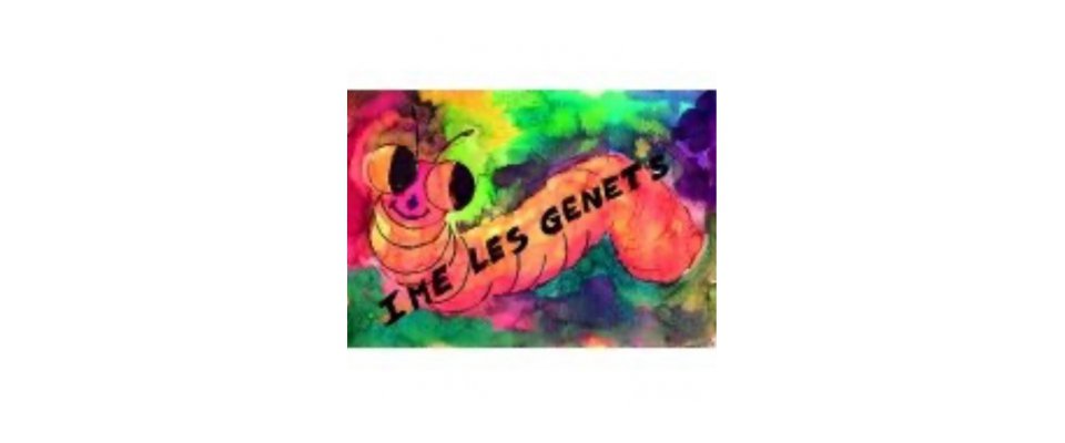 kermesse IME Les Genêts