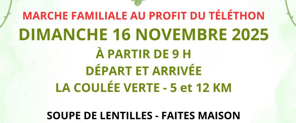 Marche au profit du Téléthon