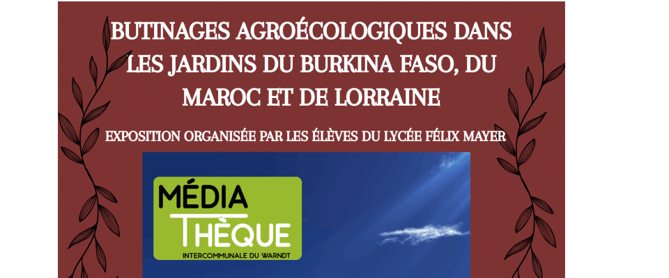 EXPO : Projet Xplora Nahla