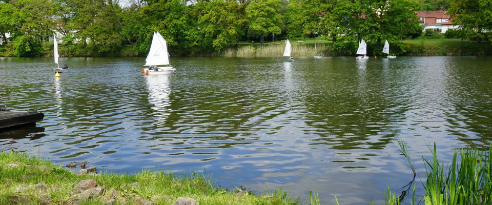 Compétition de voile au plan d'eau