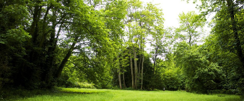 Journée verte