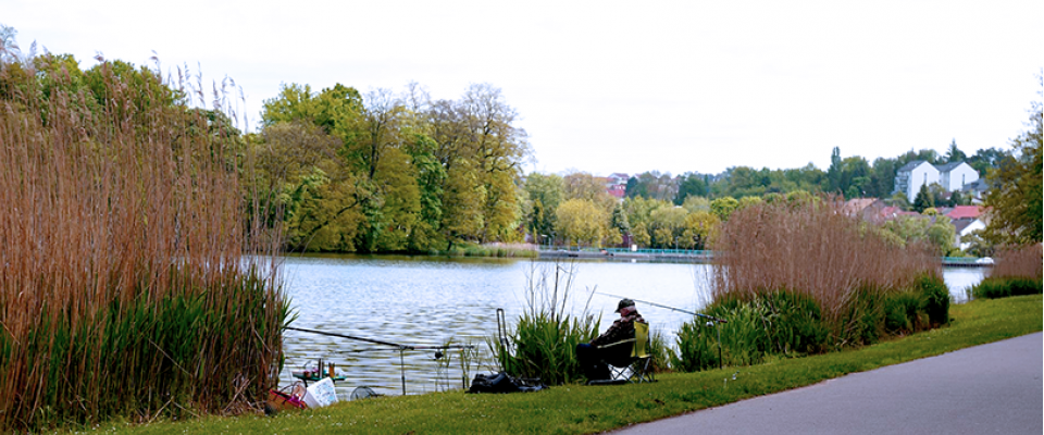 Compétition de pêche