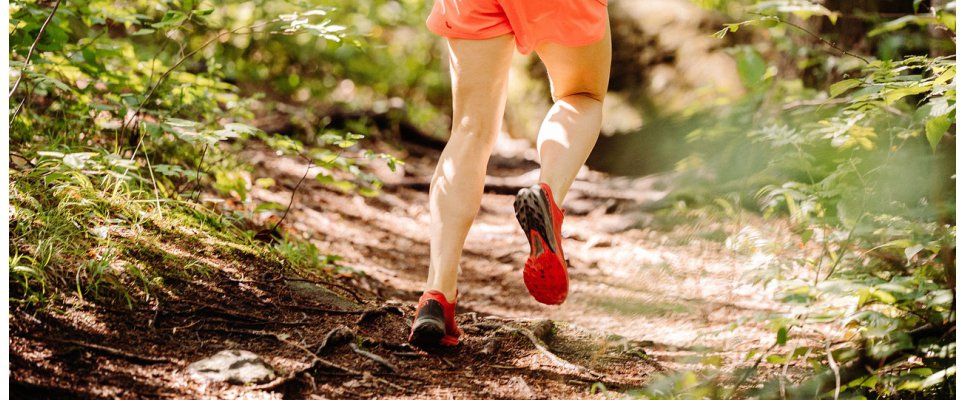 X-WALD TRAIL 2023